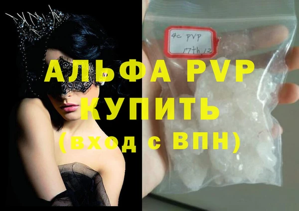 PSILOCYBIN Карталы