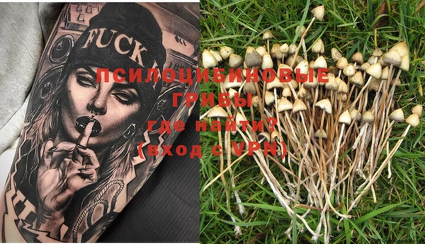 PSILOCYBIN Карталы
