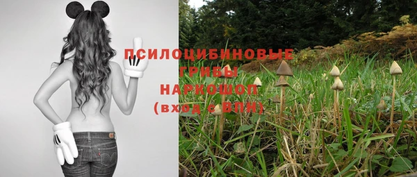 герыч Касимов