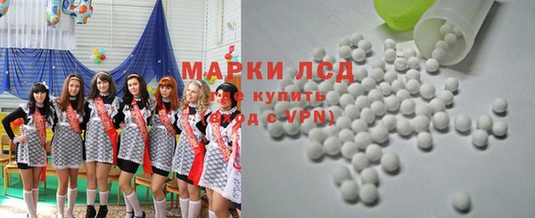 PSILOCYBIN Карталы