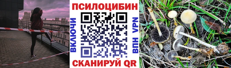 Псилоцибиновые грибы GOLDEN TEACHER  Пушкино 